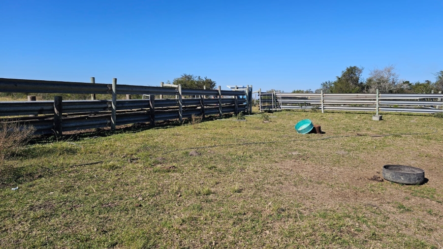 Commercial Property for Sale in Komga Rural Eastern Cape